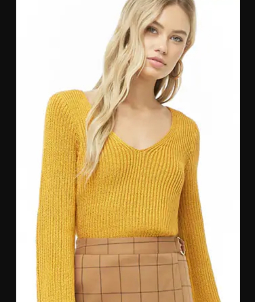 Forever 21 Cropped Sweater